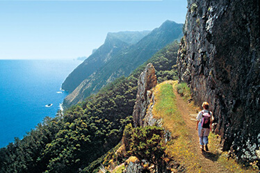 Madeira Private Tours and Levada Walks 