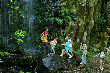 Madeira Private Tours and Levada Walks 